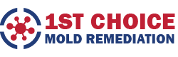 1st Choice Mold Remediation